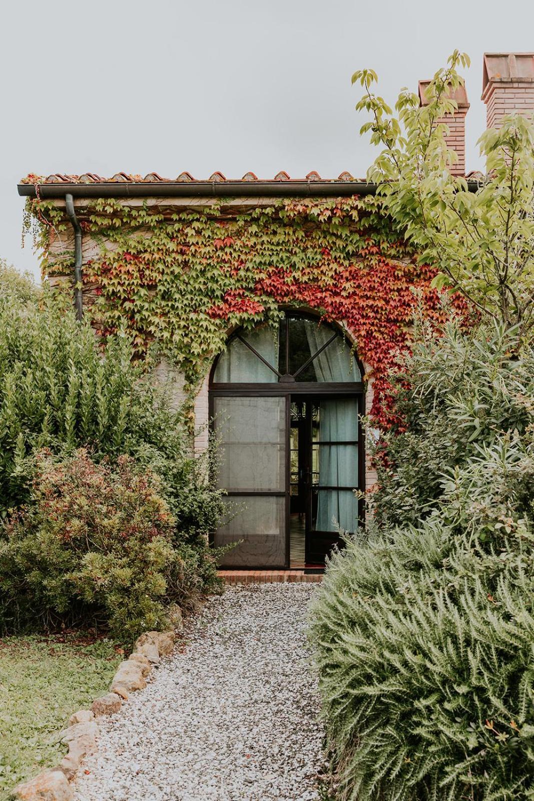 Ferienwohnung Ginestriccio Bibbona Exterior foto